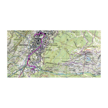 GARMIN TOPO Switzerland V2 Pro mirco SD Speicherkarte - Topografische Vektor- und Rasterkarte (010-12576-01)